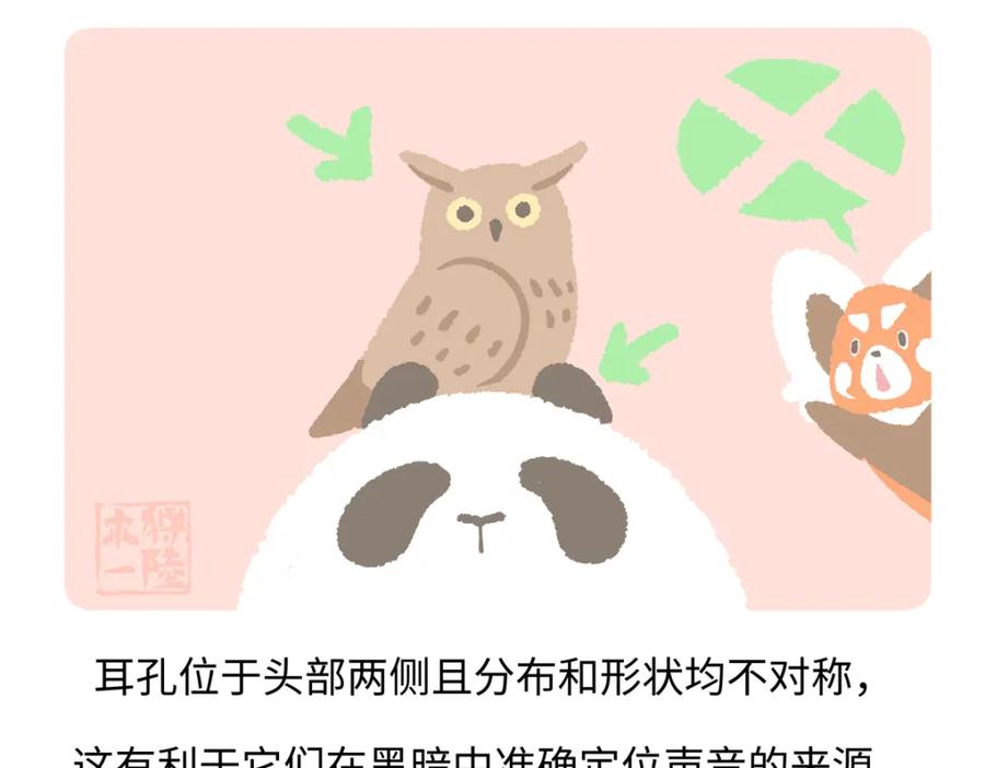 《胖达x胖达》第226话 第20页