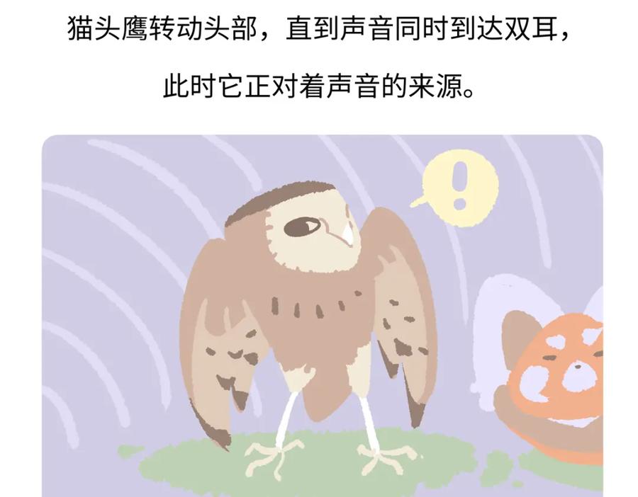 《胖达x胖达》第226话 第26页