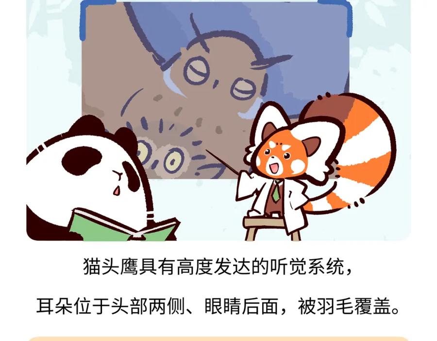 《胖达x胖达》第226话 第18页