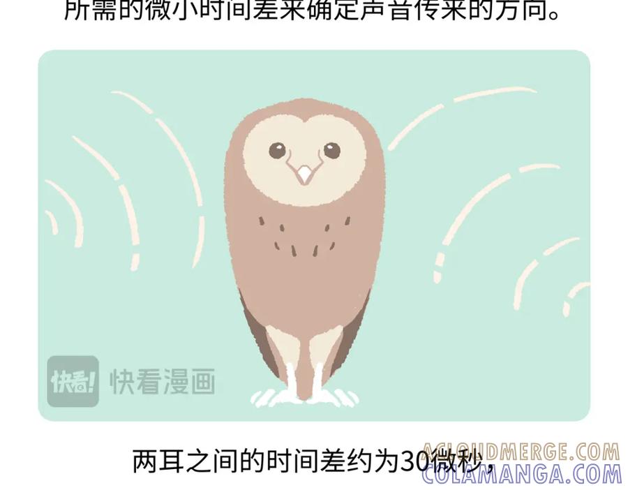 《胖达x胖达》第226话 第25页