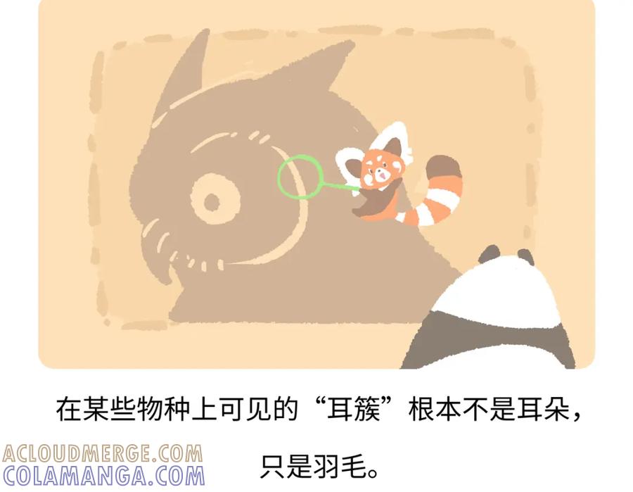 《胖达x胖达》第226话 第19页