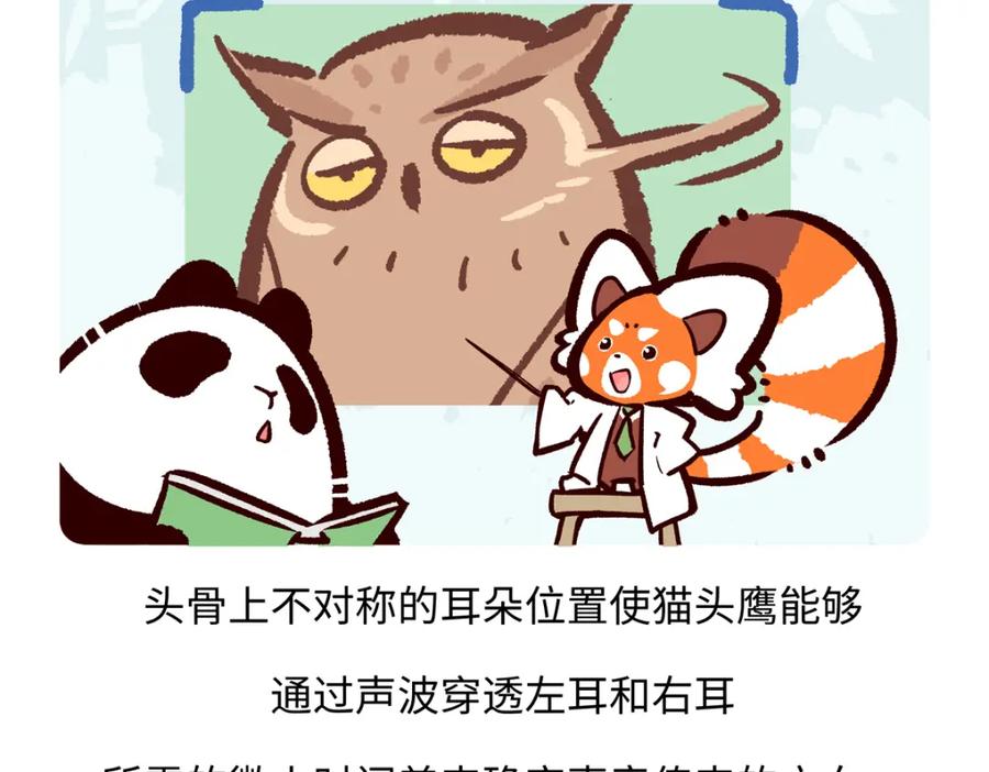 《胖达x胖达》第226话 第24页