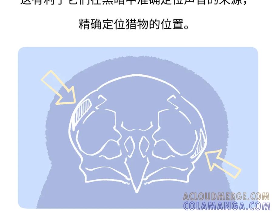 《胖达x胖达》第226话 第21页