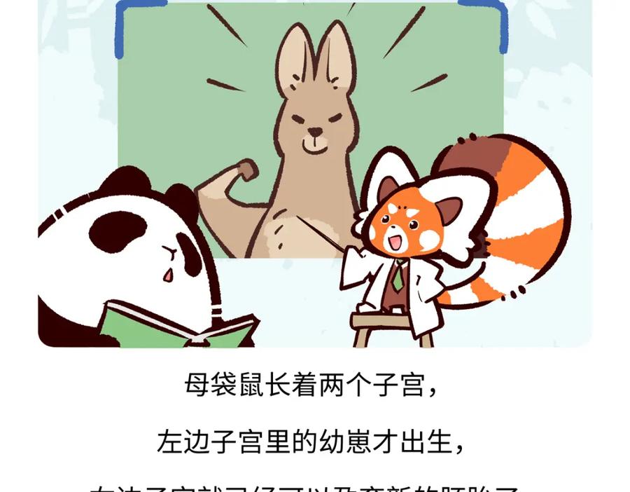 《胖达x胖达》第227话 第26页