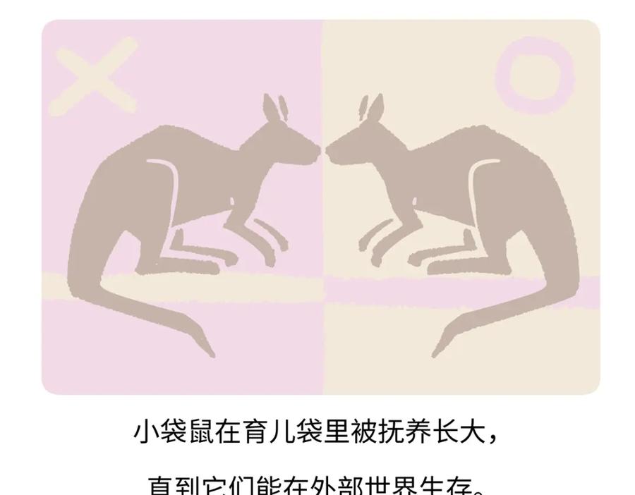 《胖达x胖达》第227话 第22页