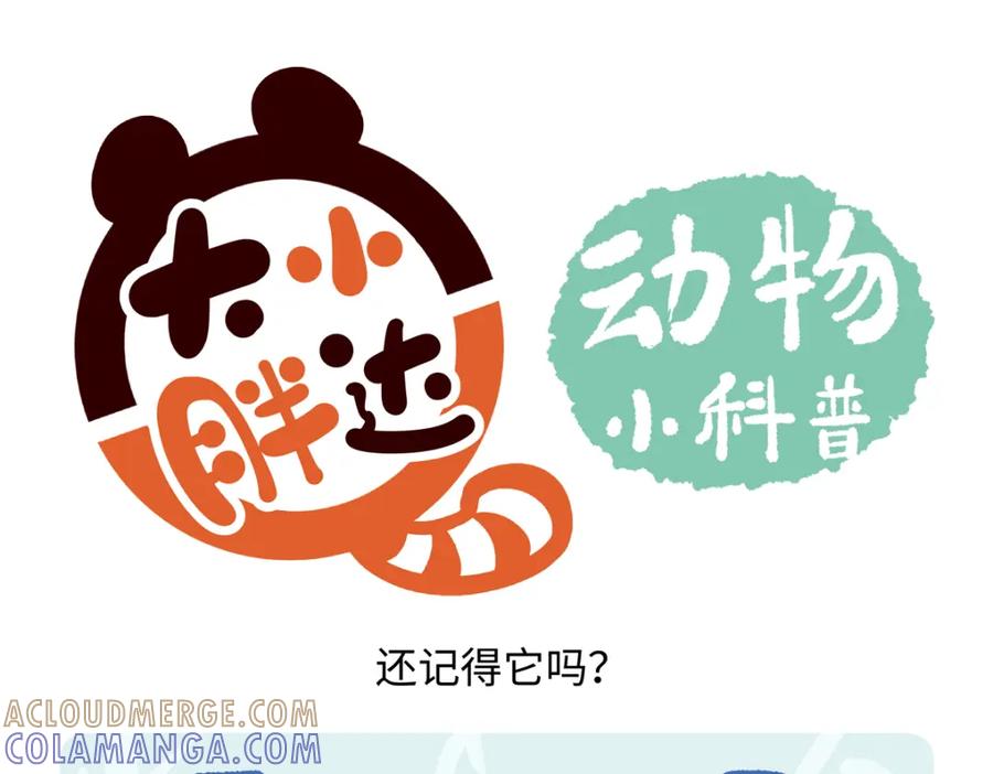 《胖达x胖达》第227话 第25页