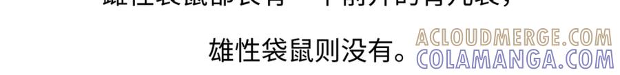 《胖达x胖达》第227话 第21页