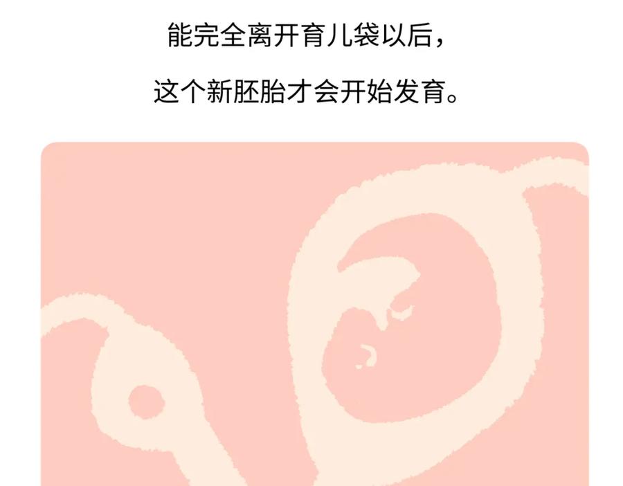 《胖达x胖达》第227话 第28页