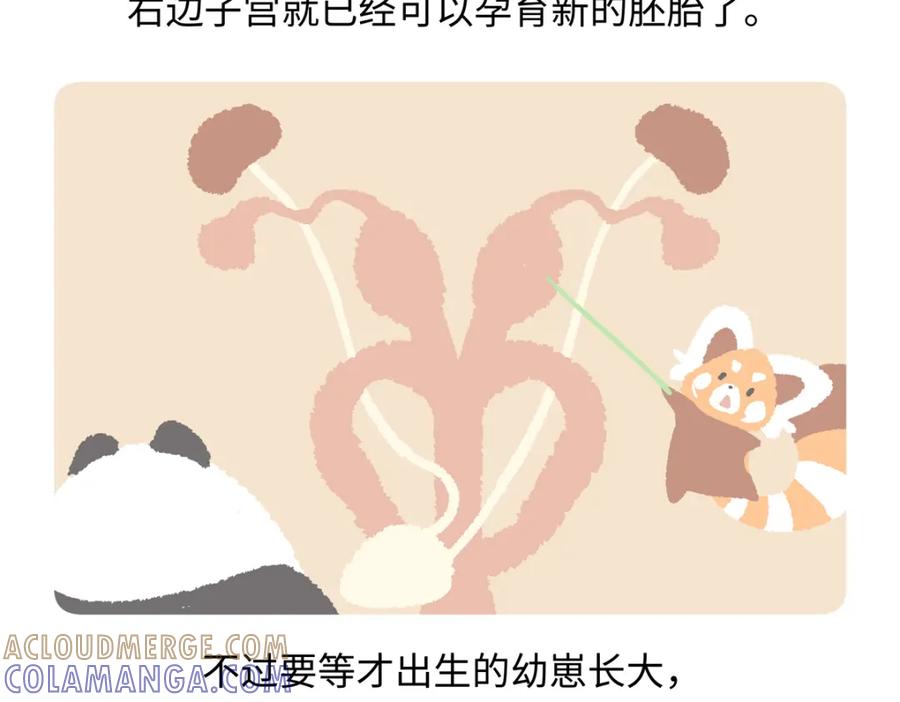 《胖达x胖达》第227话 第27页
