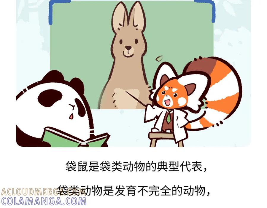 《胖达x胖达》第227话 第19页