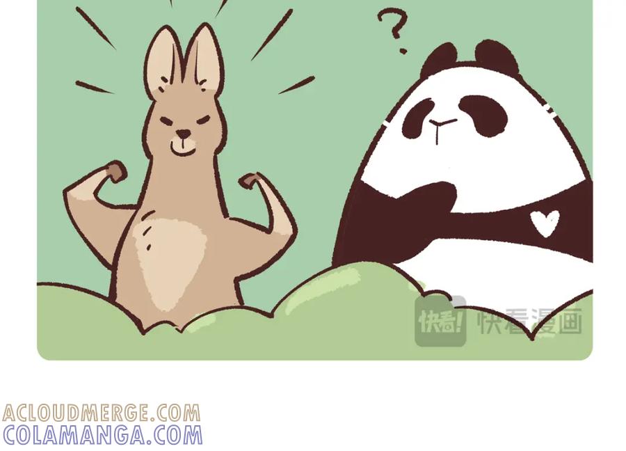 《胖达x胖达》第227话 第17页