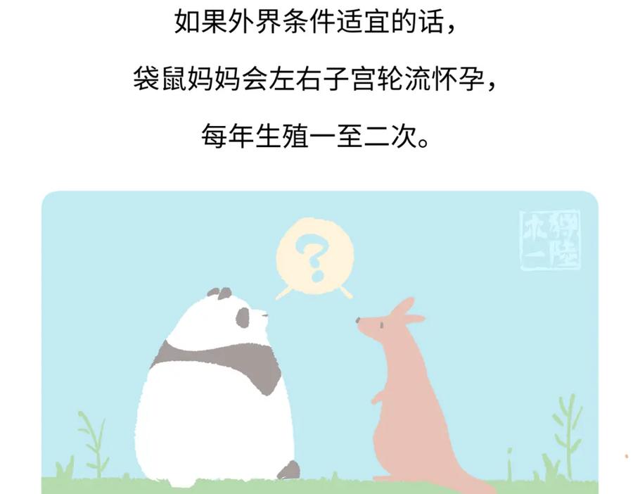 《胖达x胖达》第227话 第30页