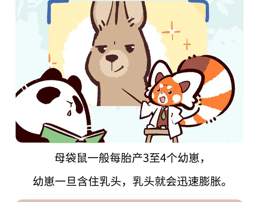 《胖达x胖达》第228话 第26页