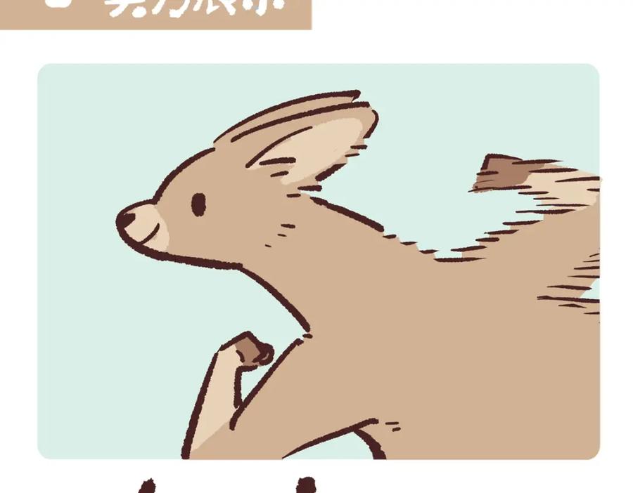 《胖达x胖达》第228话 第2页