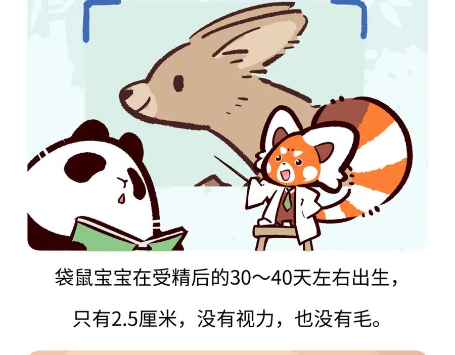 《胖达x胖达》第228话 第20页