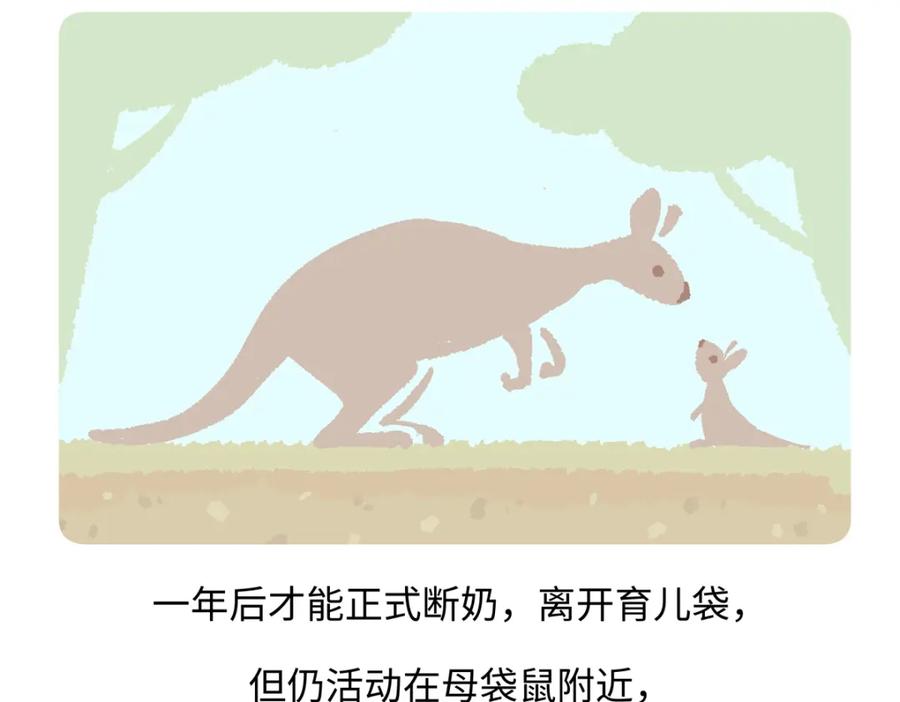 《胖达x胖达》第228话 第22页