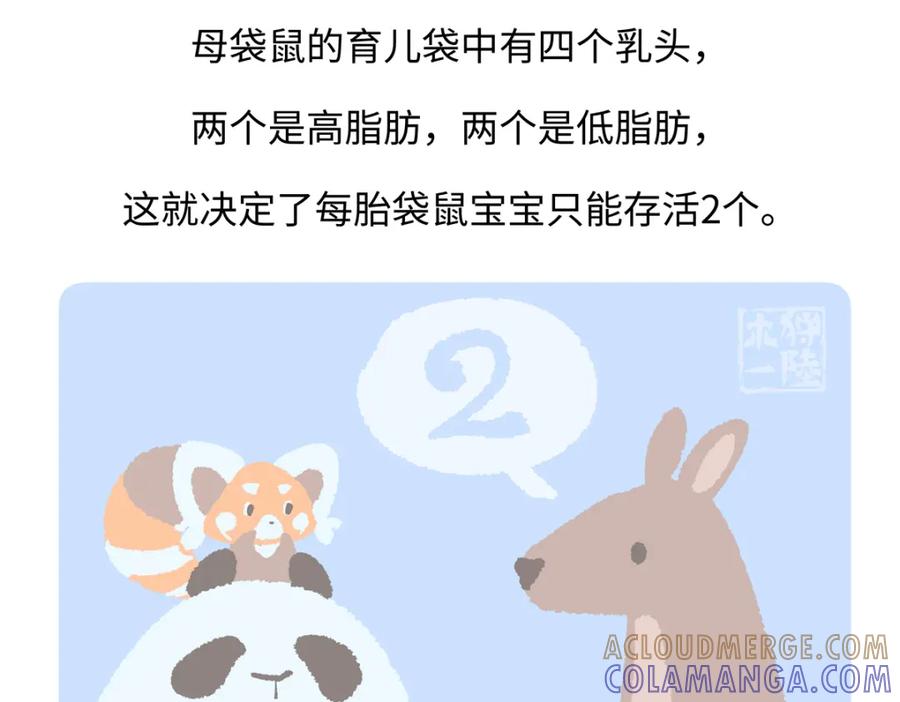 《胖达x胖达》第228话 第29页