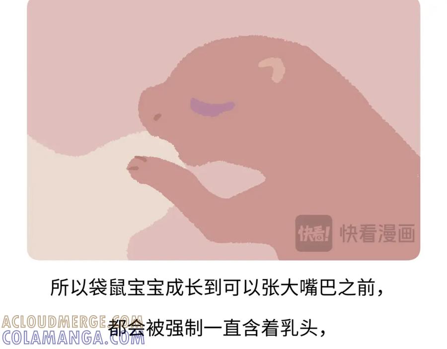 《胖达x胖达》第228话 第27页
