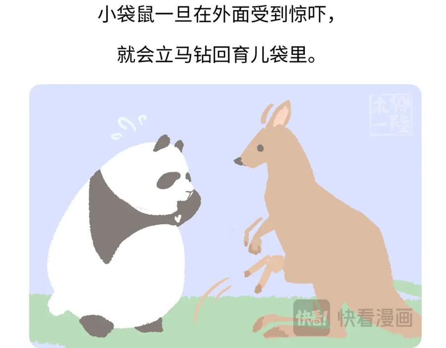 《胖达x胖达》第229话 第28页