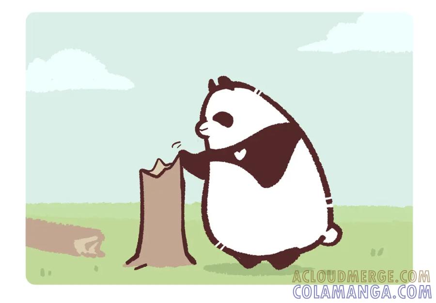 《胖达x胖达》第229话 第3页