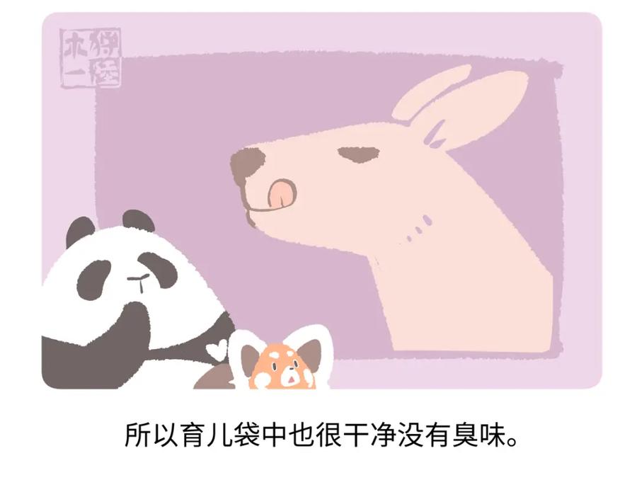 《胖达x胖达》第229话 第22页