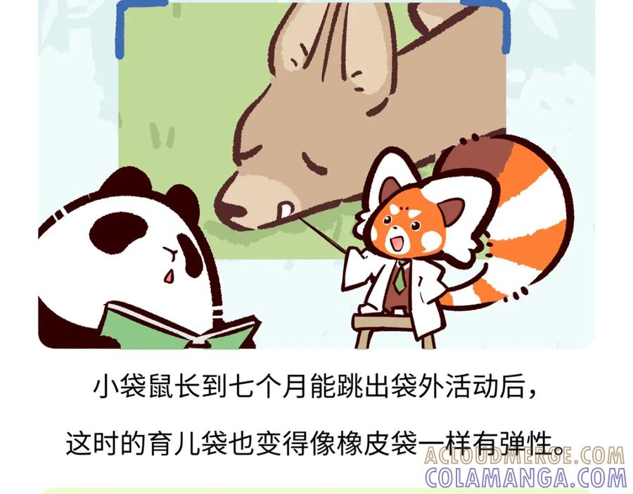 《胖达x胖达》第229话 第25页