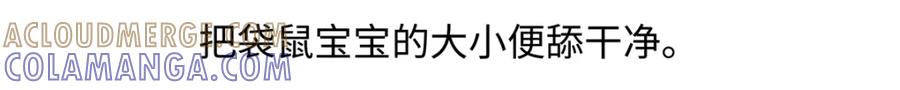 《胖达x胖达》第229话 第21页