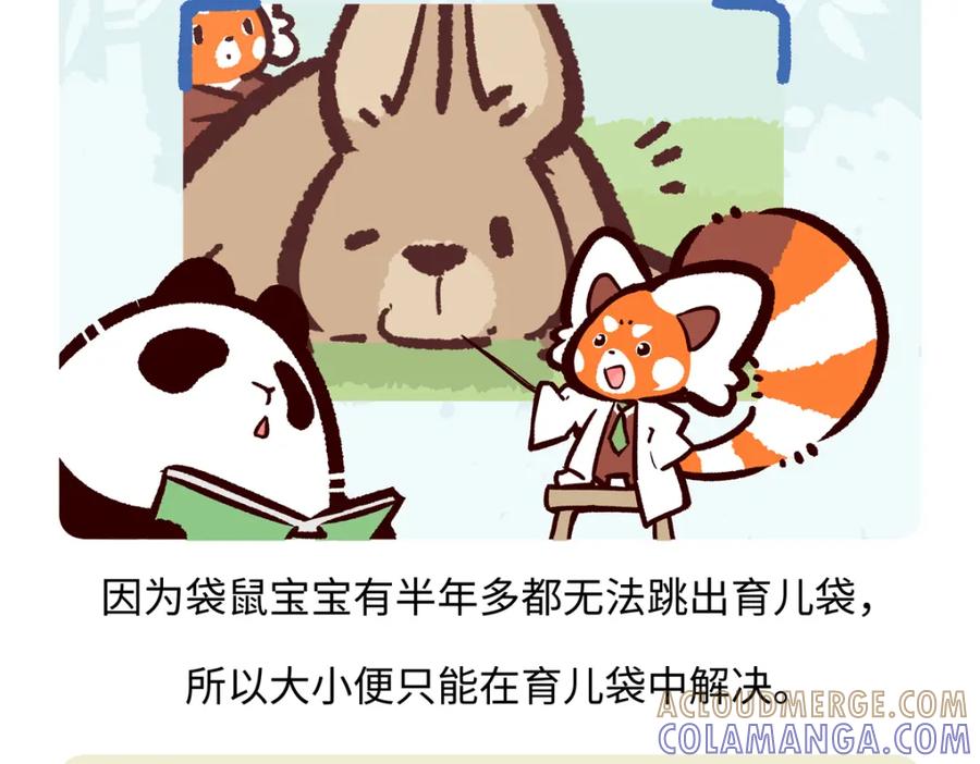 《胖达x胖达》第229话 第19页