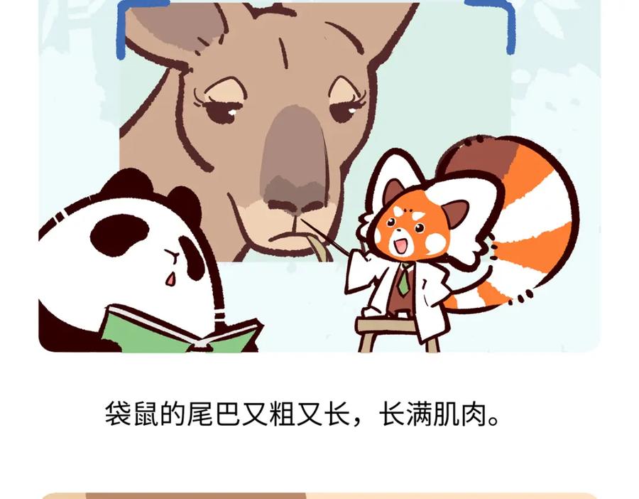 《胖达x胖达》第230话 第24页