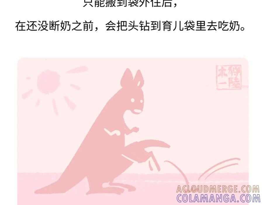 《胖达x胖达》第230话 第21页