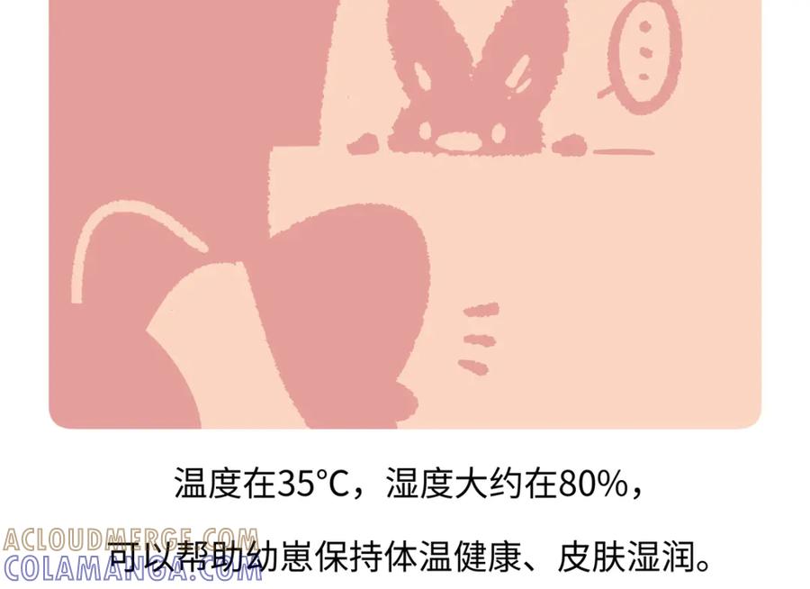 《胖达x胖达》第230话 第19页