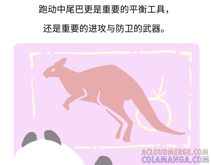 《胖达x胖达》第230话 第27页