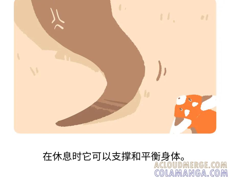 《胖达x胖达》第230话 第25页