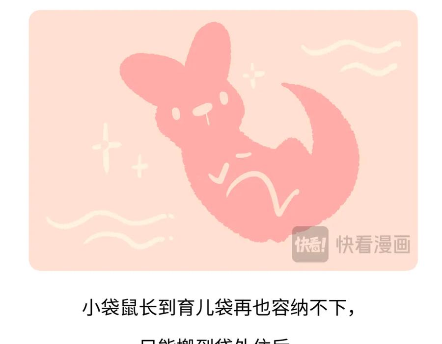 《胖达x胖达》第230话 第20页