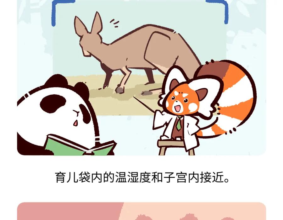 《胖达x胖达》第230话 第18页