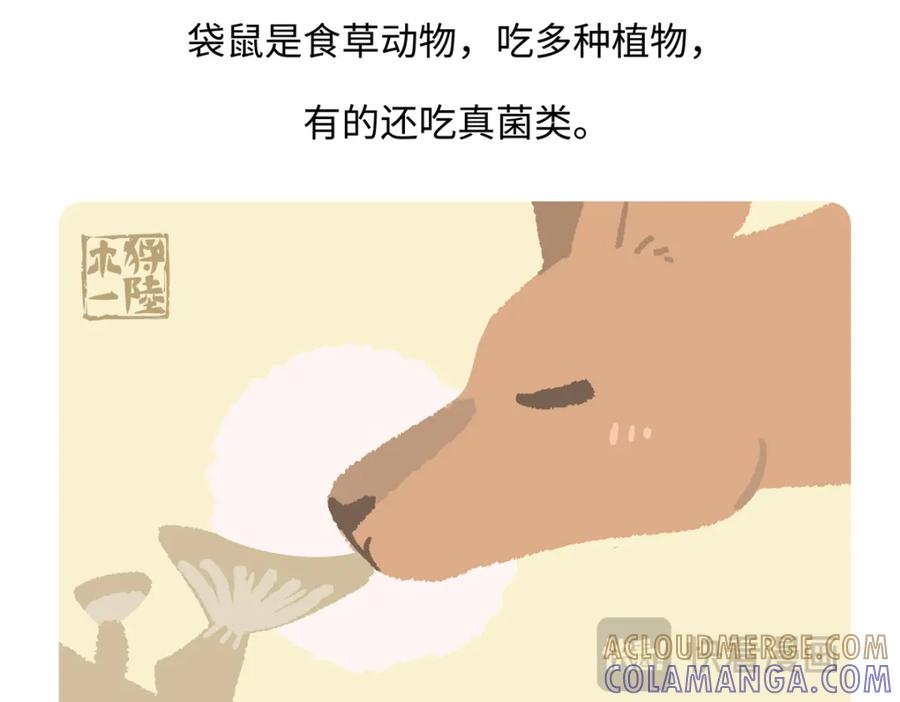 《胖达x胖达》第231话 第27页