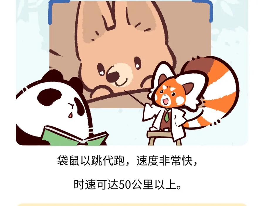 《胖达x胖达》第231话 第18页