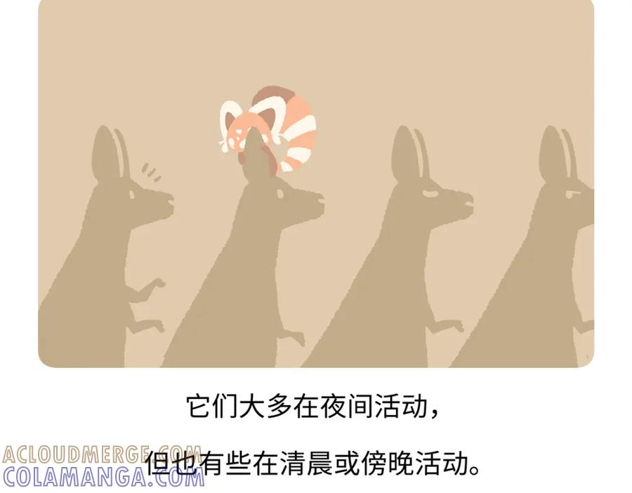 《胖达x胖达》第231话 第25页