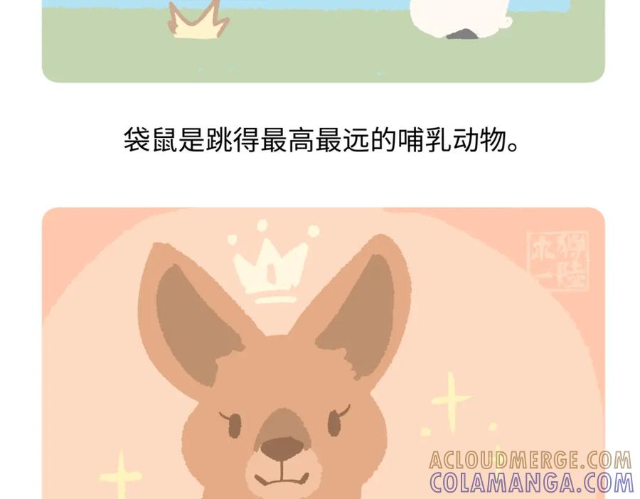 《胖达x胖达》第231话 第21页