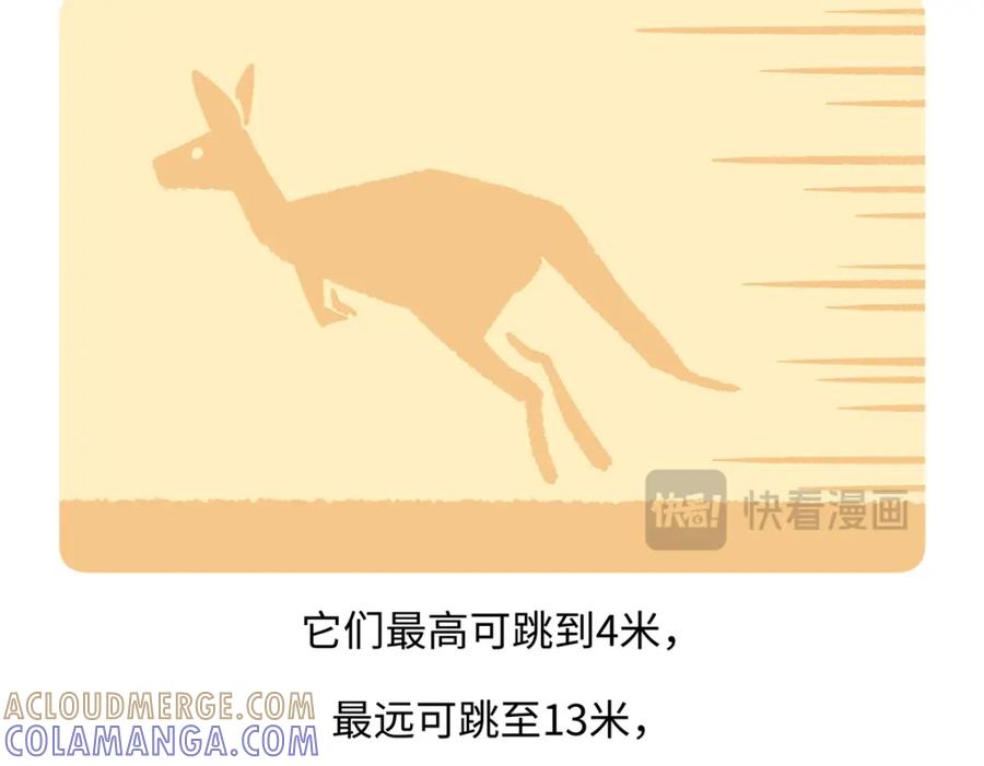 《胖达x胖达》第231话 第19页