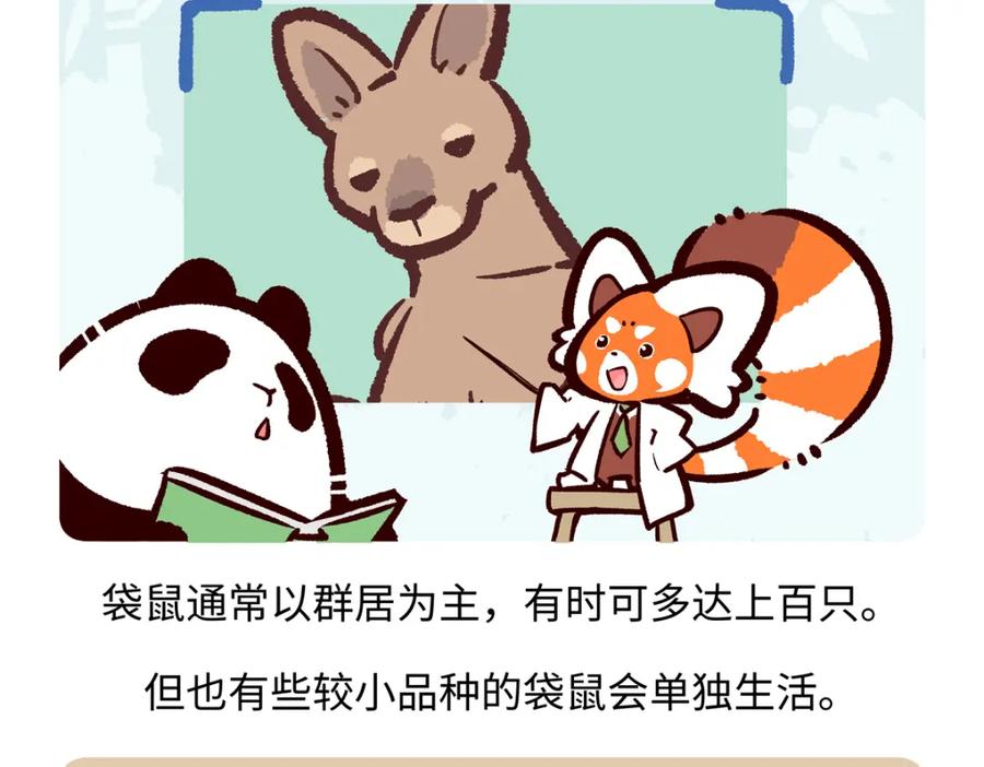 《胖达x胖达》第231话 第24页