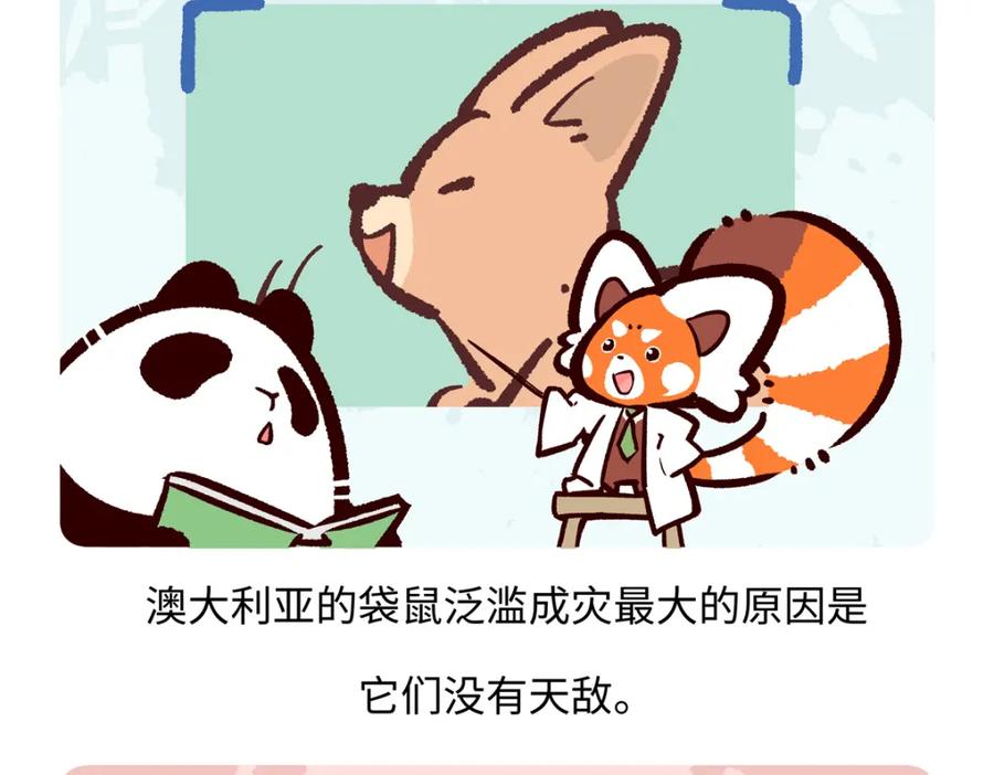 《胖达x胖达》第232话 第26页