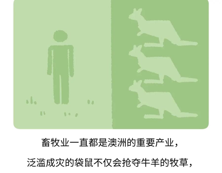 《胖达x胖达》第232话 第20页
