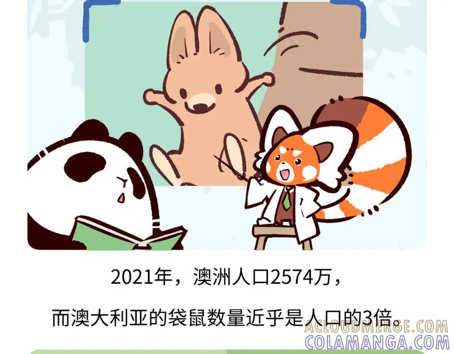 《胖达x胖达》第232话 第19页