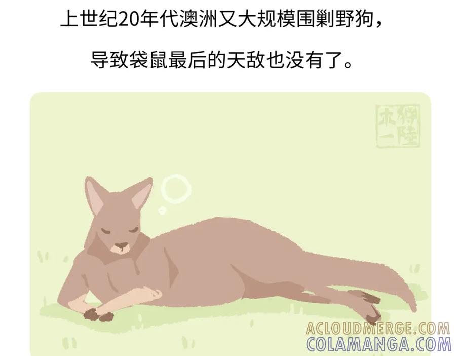 《胖达x胖达》第232话 第29页