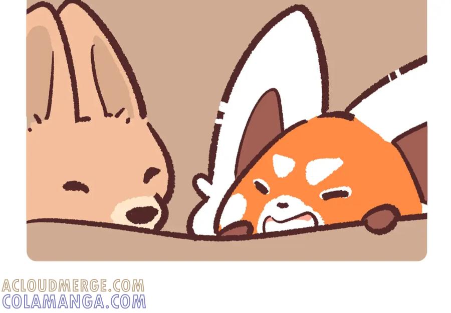 《胖达x胖达》第233话 第15页