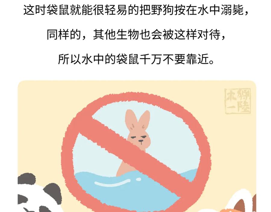 《胖达x胖达》第233话 第26页