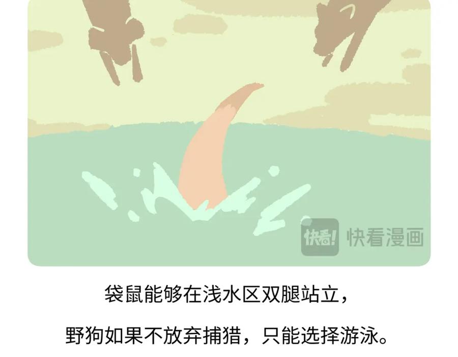 《胖达x胖达》第233话 第24页