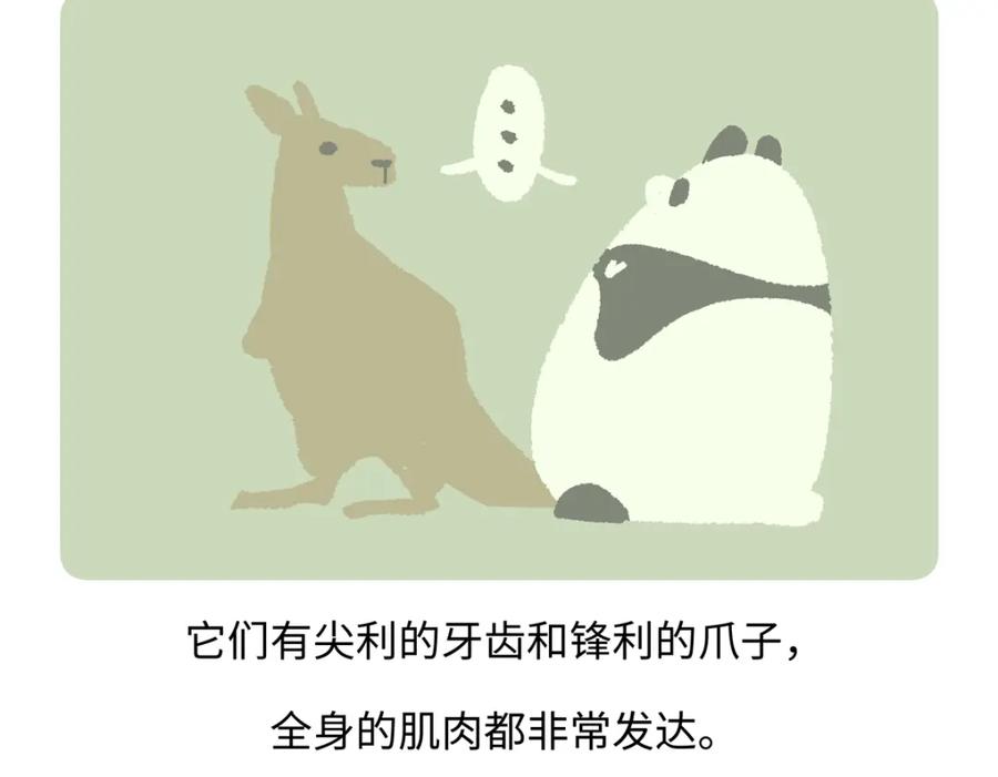 《胖达x胖达》第233话 第18页