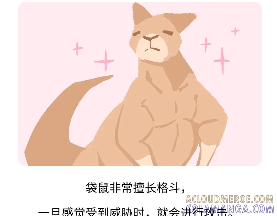 《胖达x胖达》第233话 第19页
